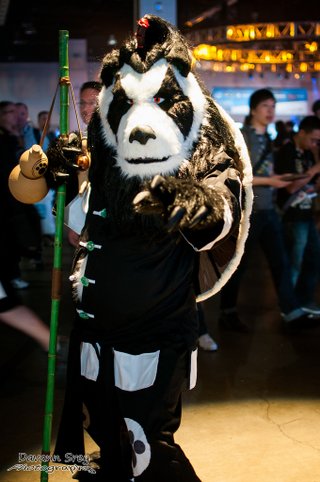 Illustration for article titled Glorious video game cosplay from this weekend's BlizzCon